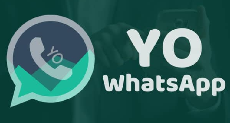 YO WhatsApp Apk