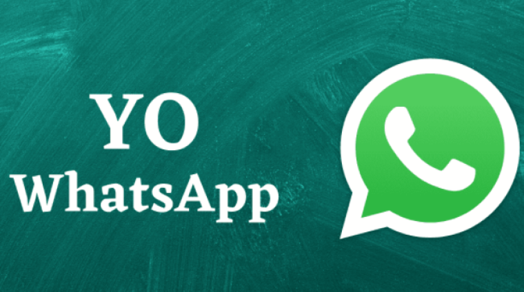 YO WhatsApp Apk