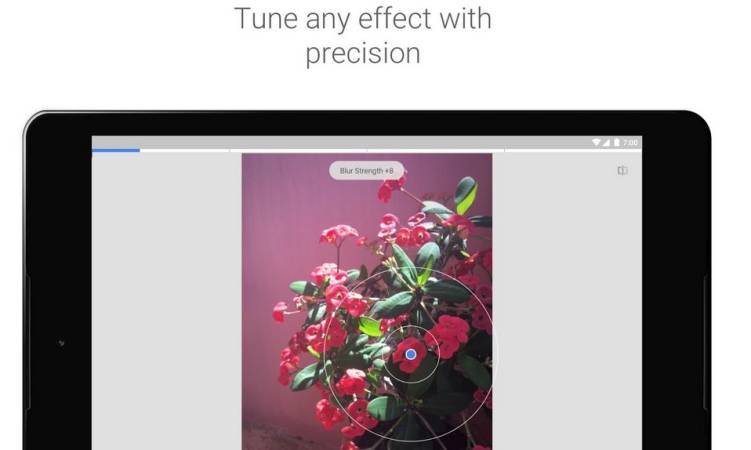 Snapseed Mod Apk