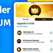 Truecaller Premium Mod APK