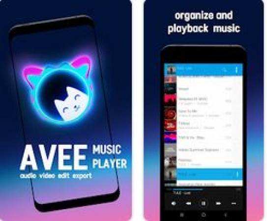 Avee Player Pro Mod Apk