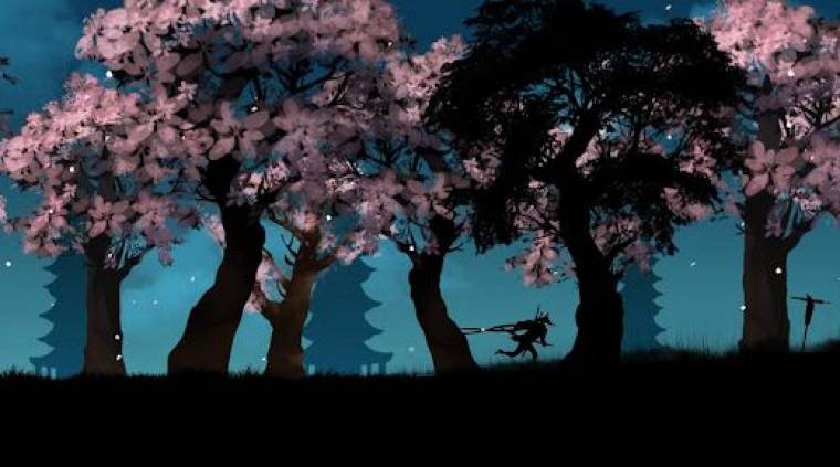 Ninja Arashi Mod Apk