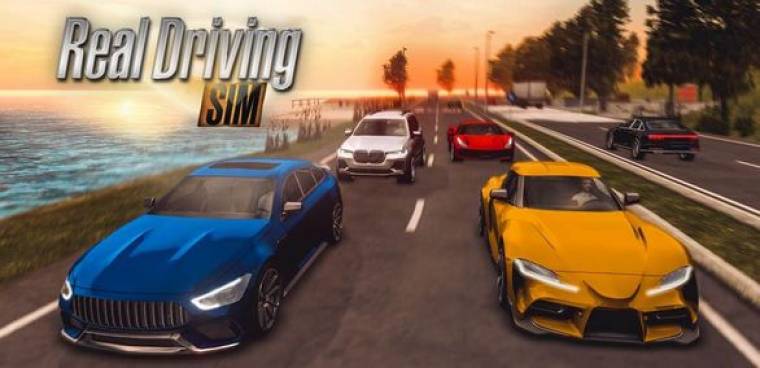 Real Driving Sim Mod Apk