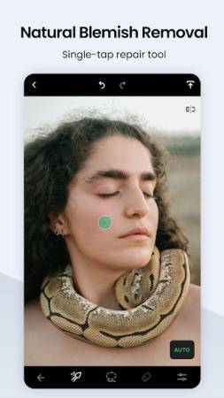 TouchRetouch Mod Apk